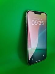 Apple iPhone 13 Pro Max 1TB Silber Weiss b84p Zyklen494